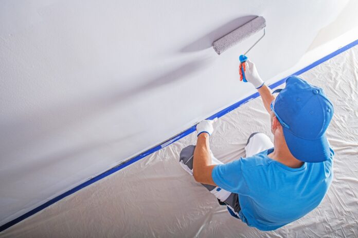How Professional Painters Can Transform Your Home